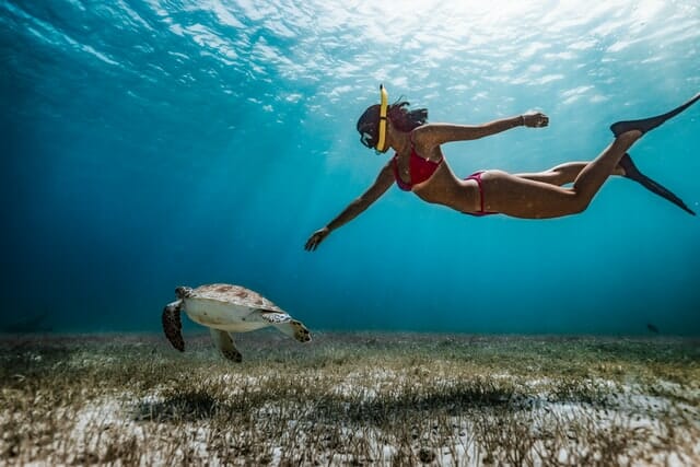 How To Snorkel: Beginner Guide + Tips